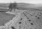 Krajina u Věžné I.